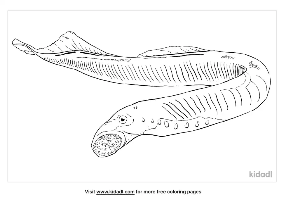 Lamprey Coloring Page
