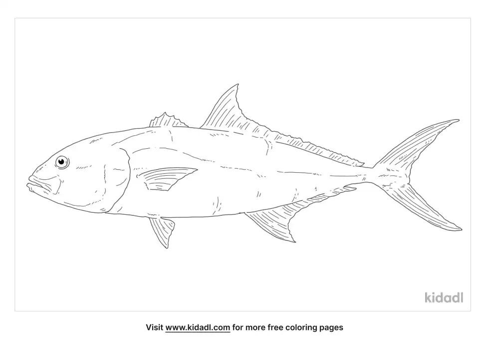 Amberjack Coloring Page
