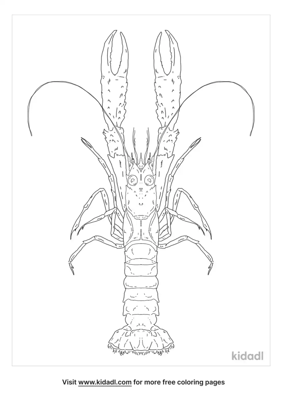 Langoustine Coloring Page