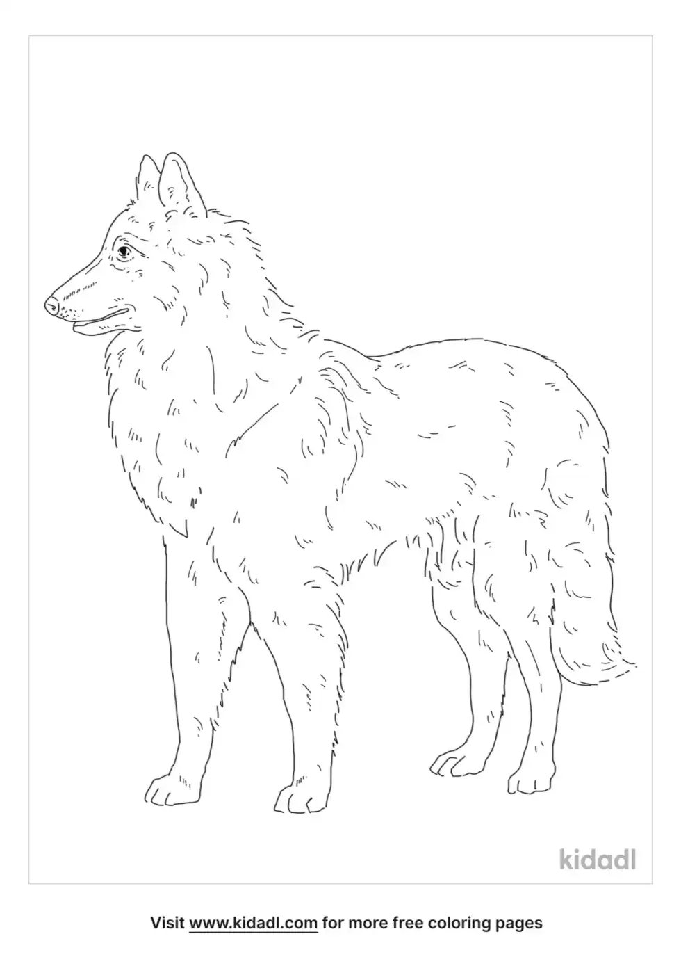 Belgian Tervuren Coloring Page