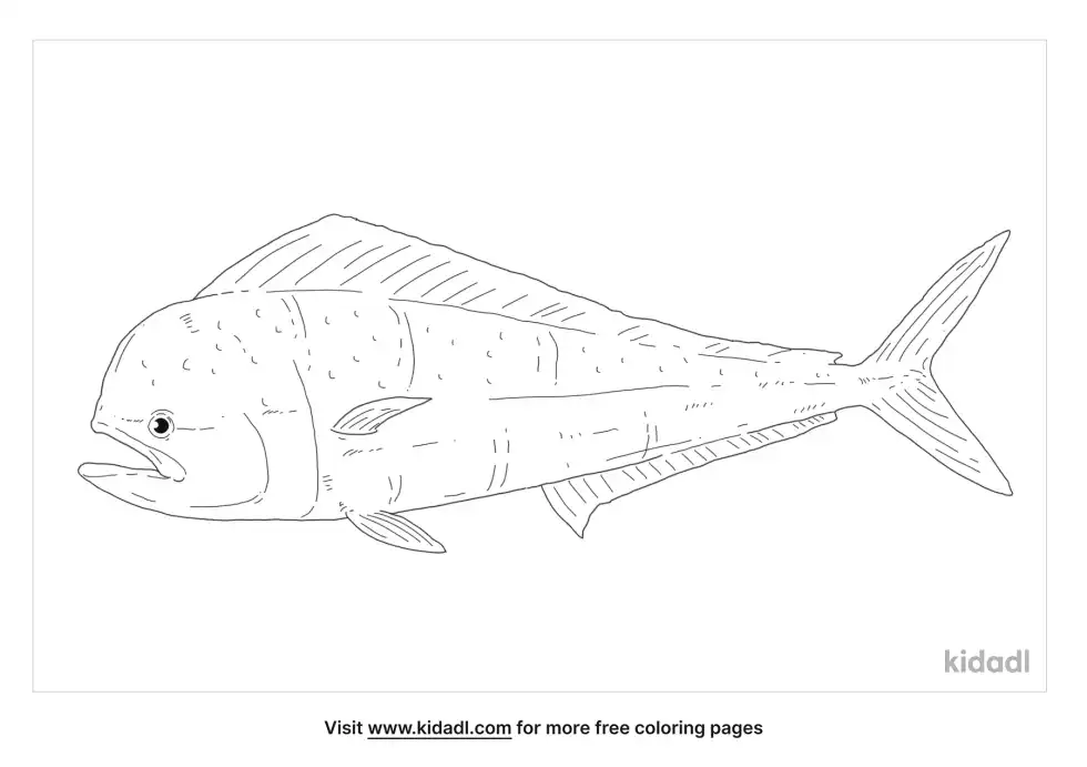 Mahi Mahi Coloring Page
