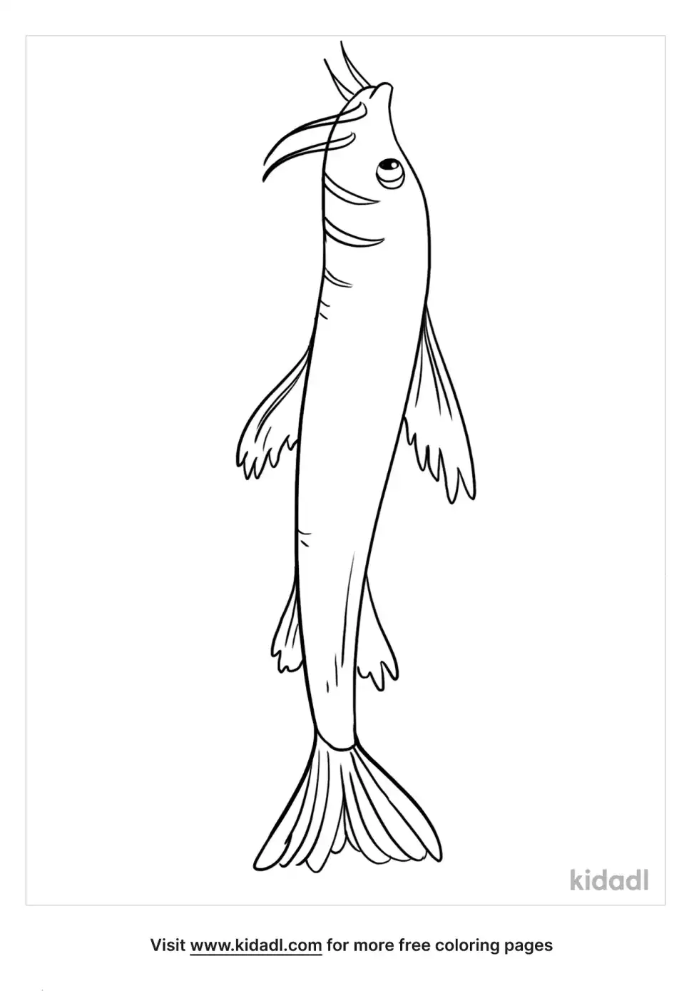 Catfish Coloring Page