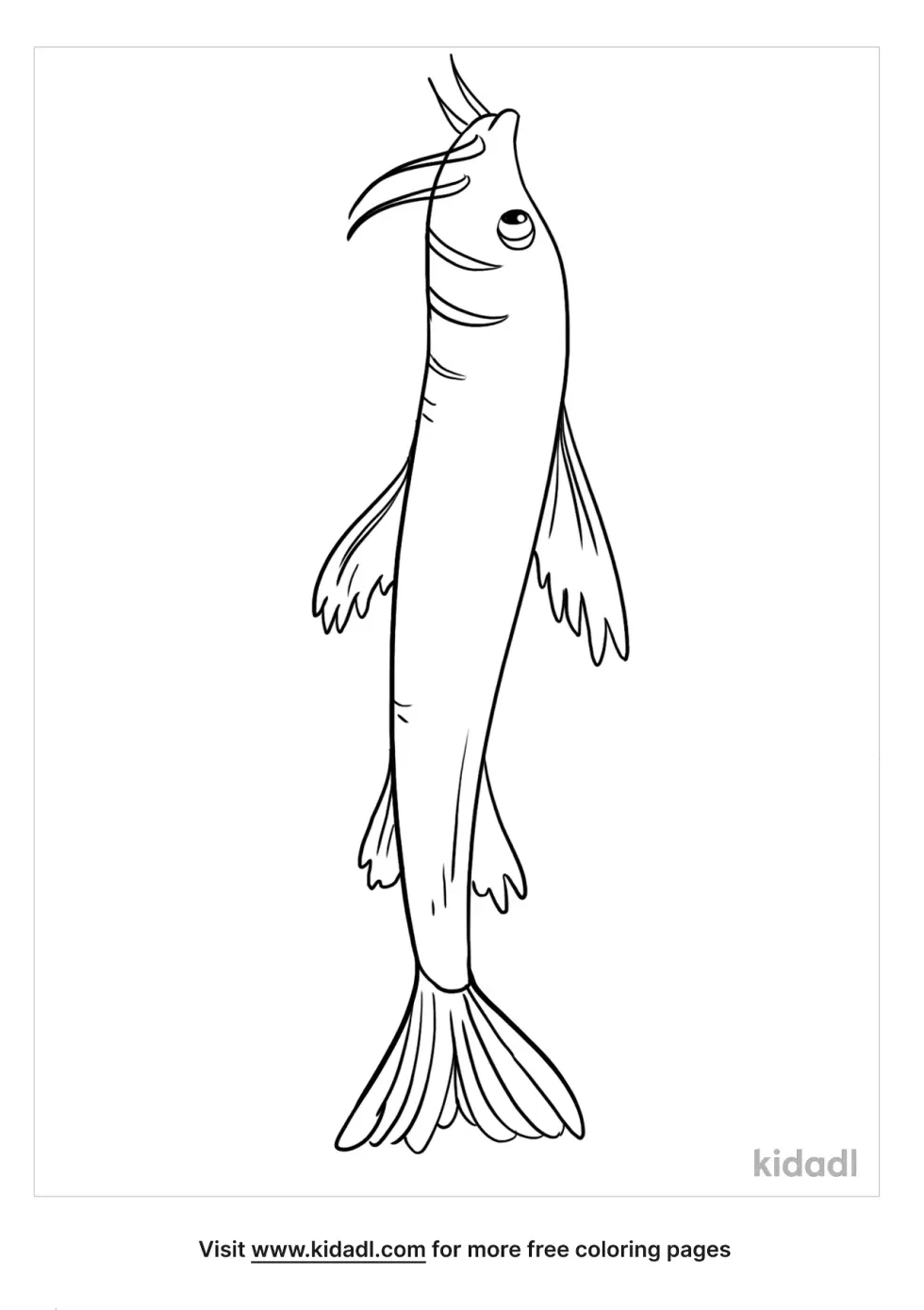 Catfish Coloring Page