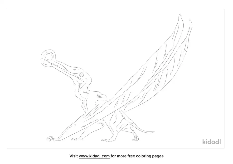 Ornithocheirus Coloring Page
