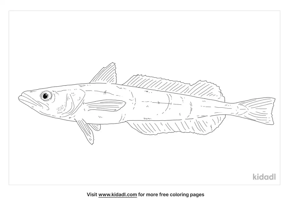 Hake Coloring Page