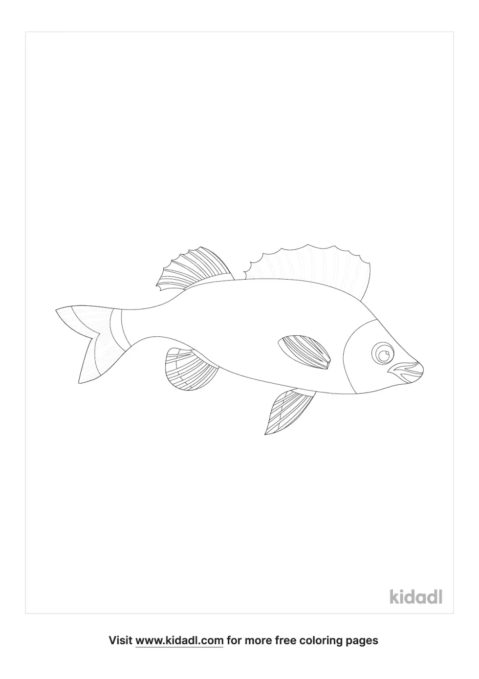 Red Bellied Piranha Coloring Page