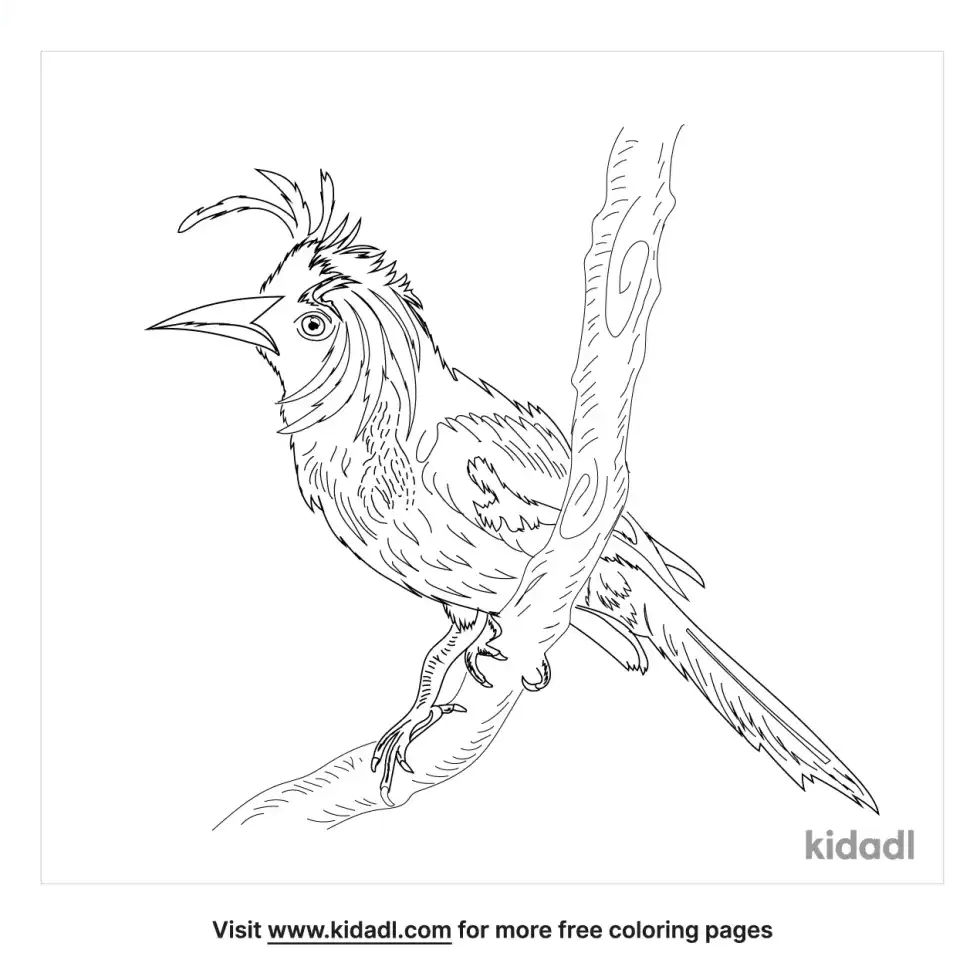 Cacique Coloring Page