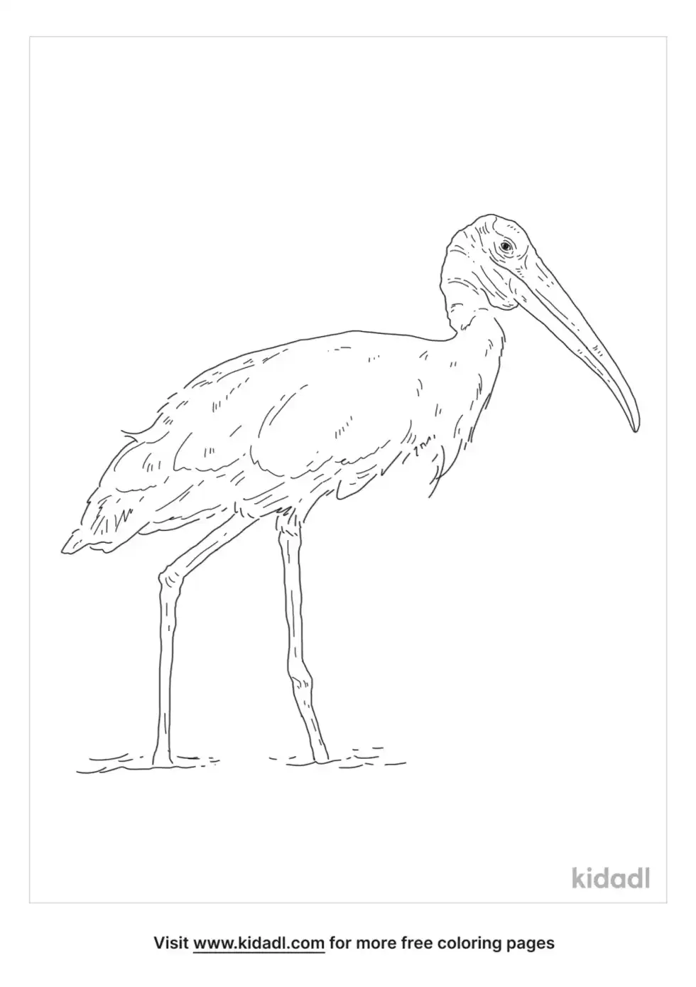 Wood Stork Coloring Page
