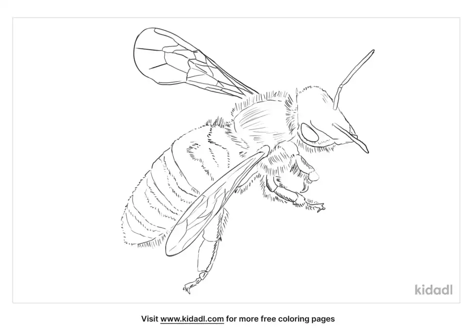 Parasitic Bees Coloring Page