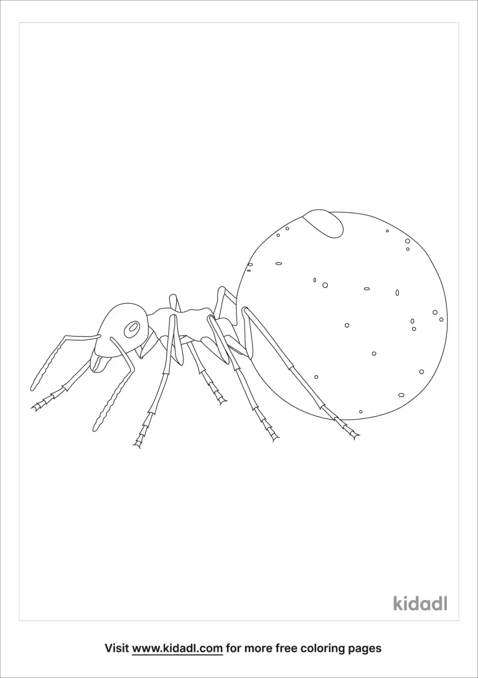 Honeypot Ants Coloring Page