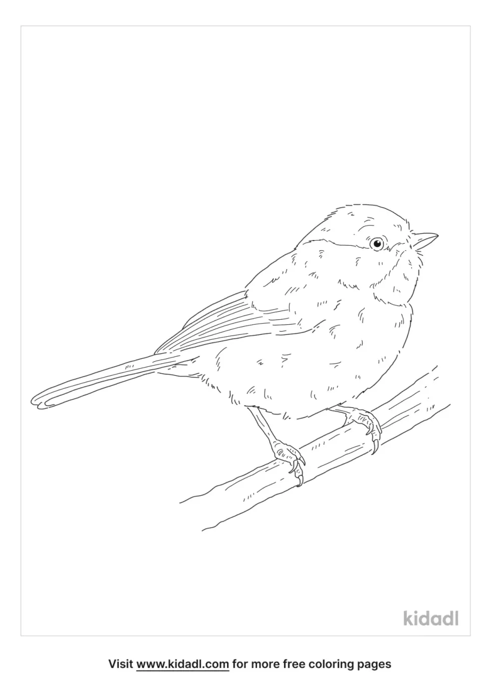 Carolina Chickadee Coloring Page