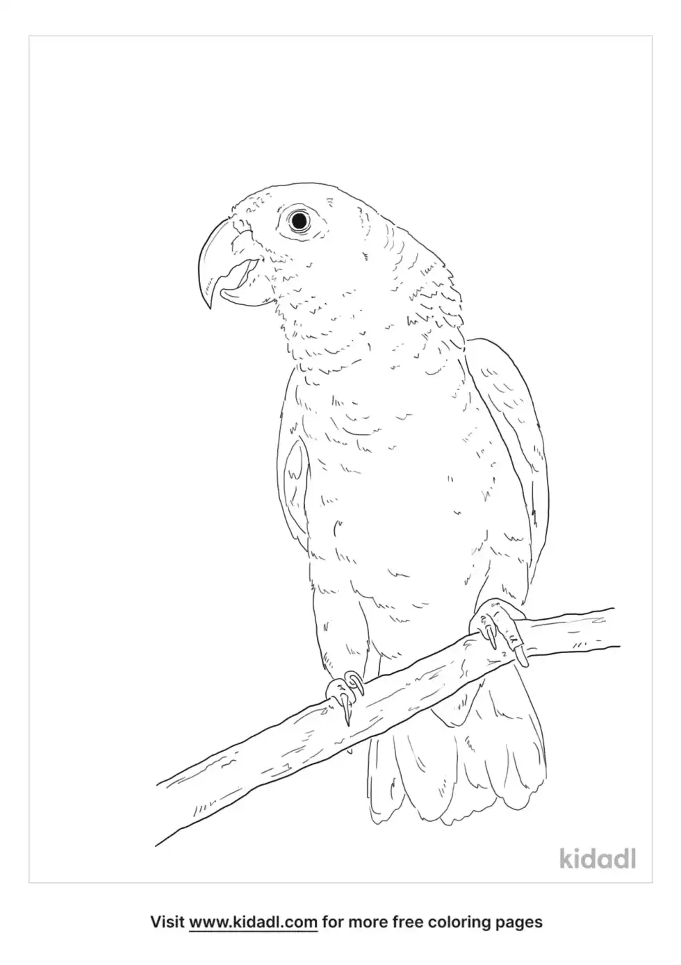 Mealy Parrot Coloring Page