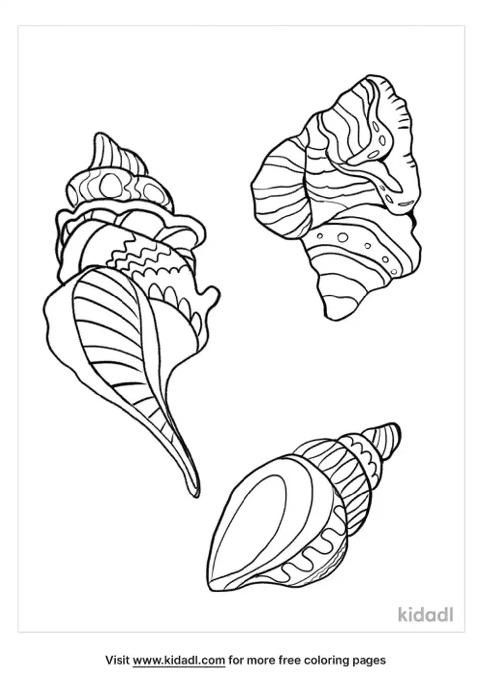 Seashell Coloring Page