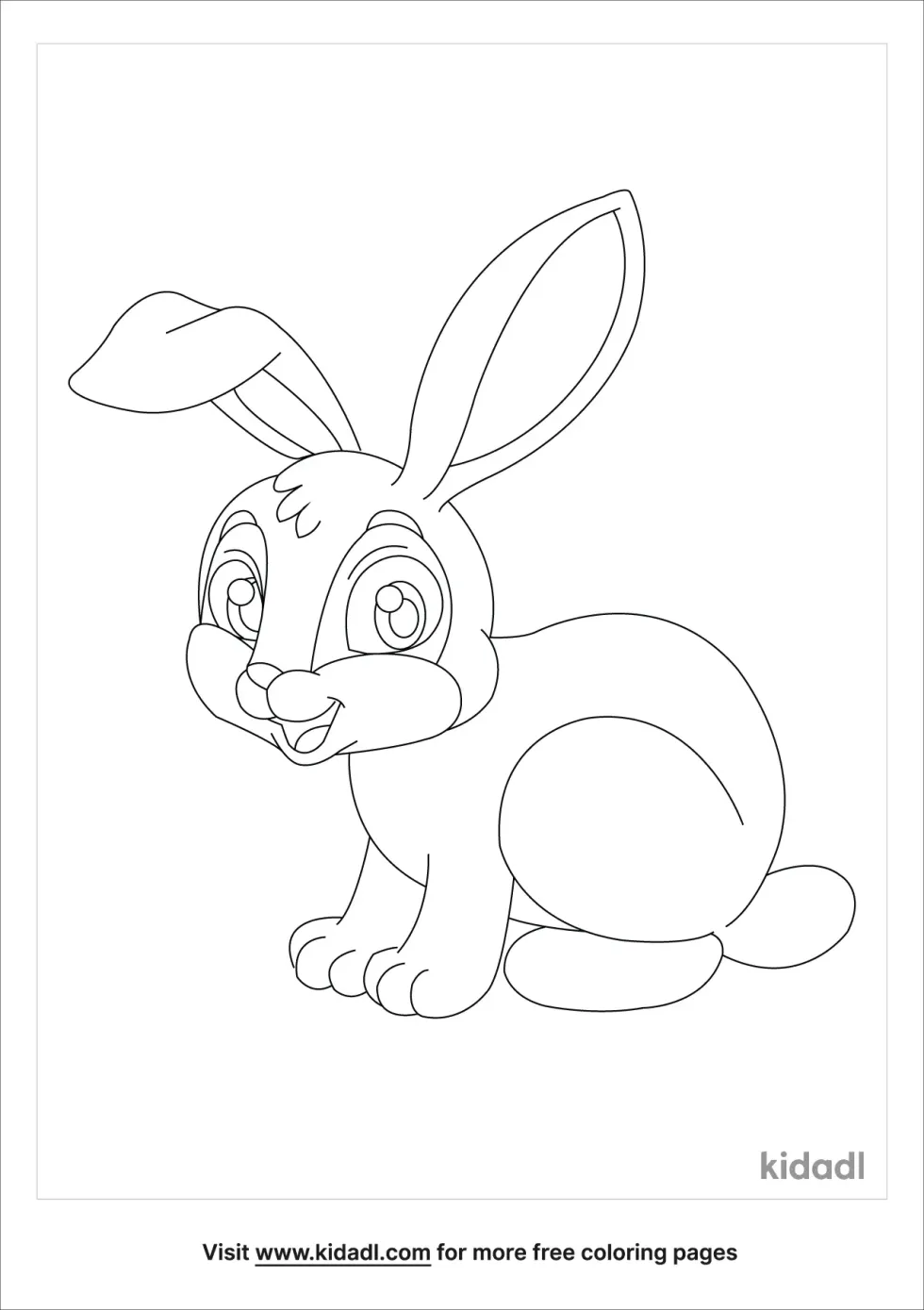 Bunny With Long Ears