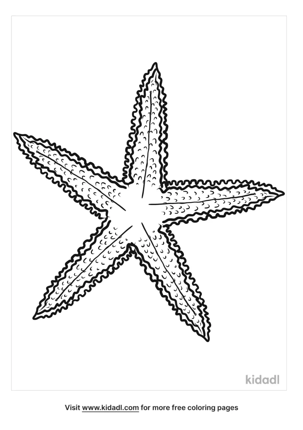 Realistic Starfish