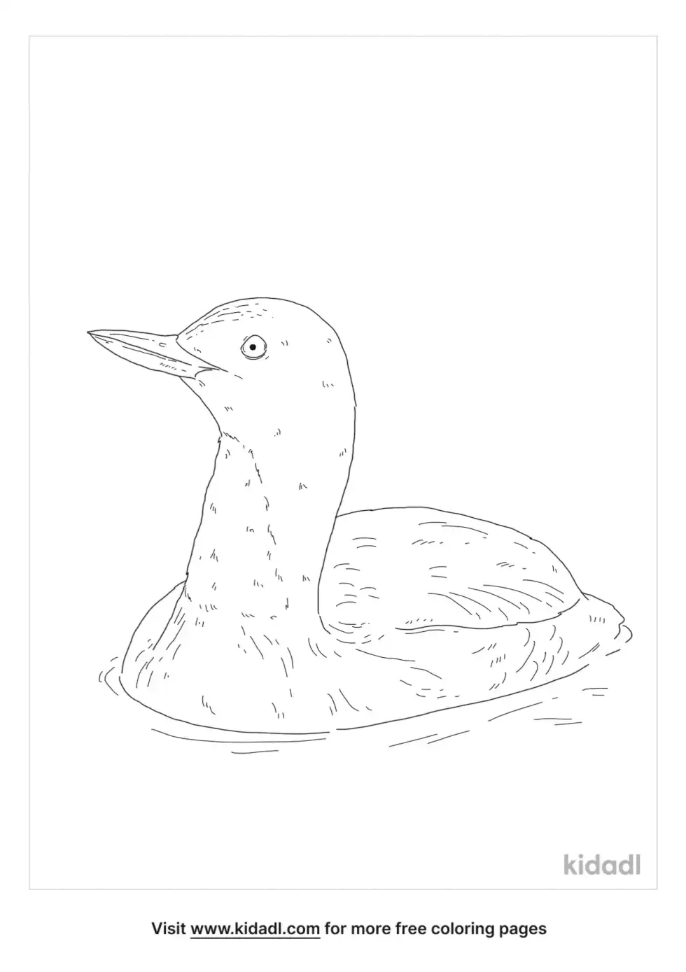 Red-Throated Loon Coloring Page