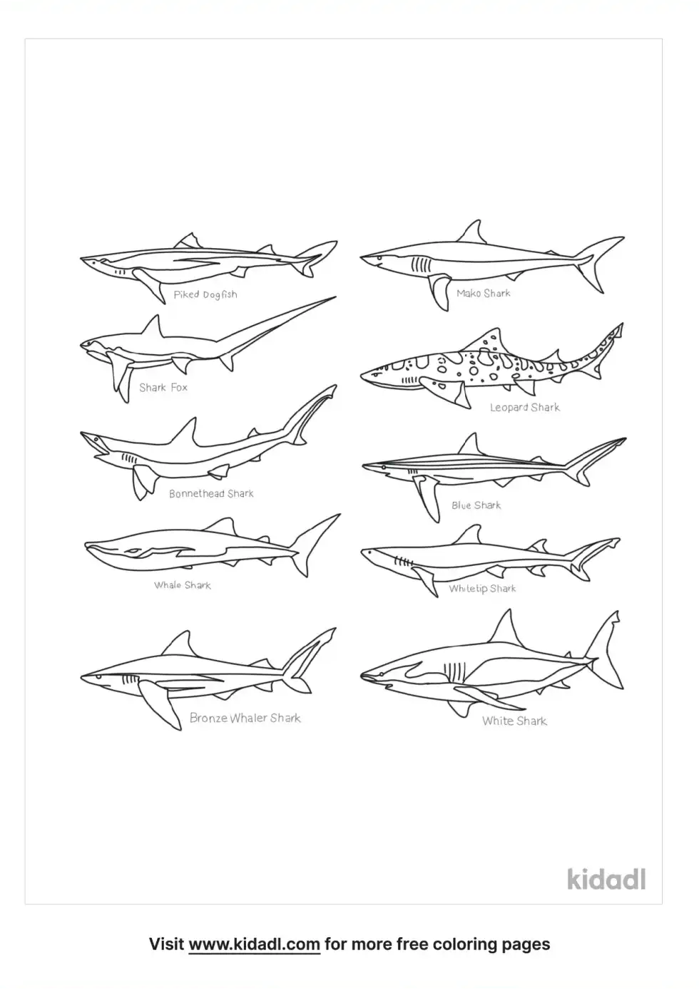 Types Of Sharks Coloring Page