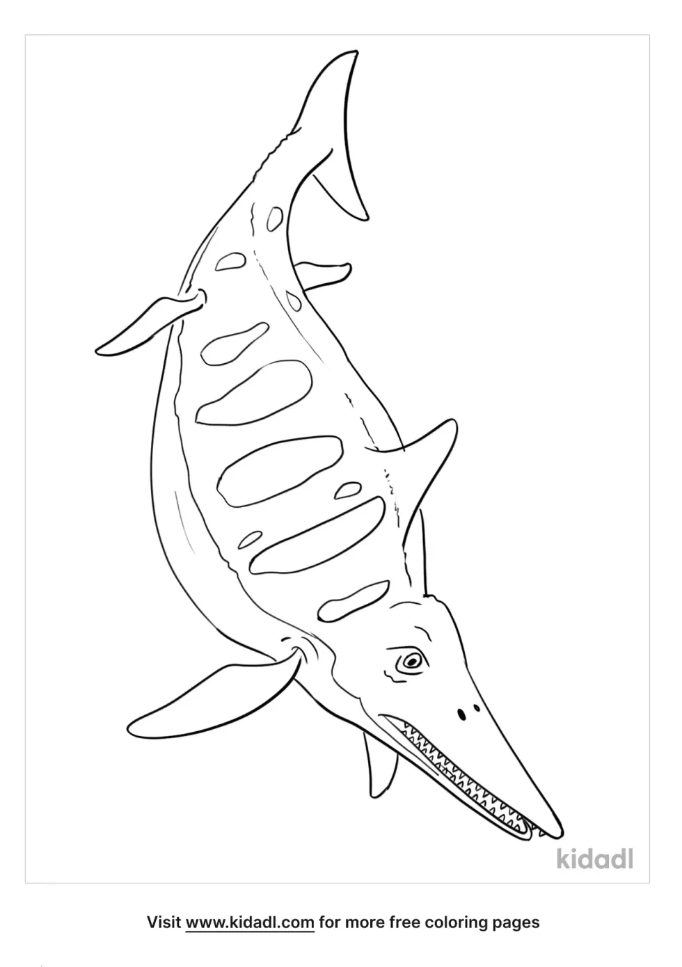 Dinosaur Ichthyosaur