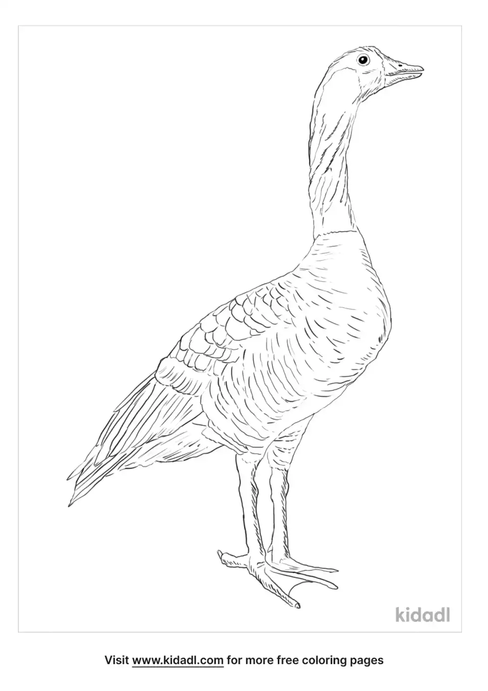 Nene Goose Coloring Page