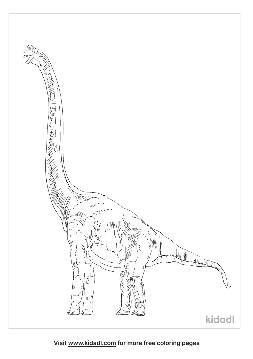 Dinodocus