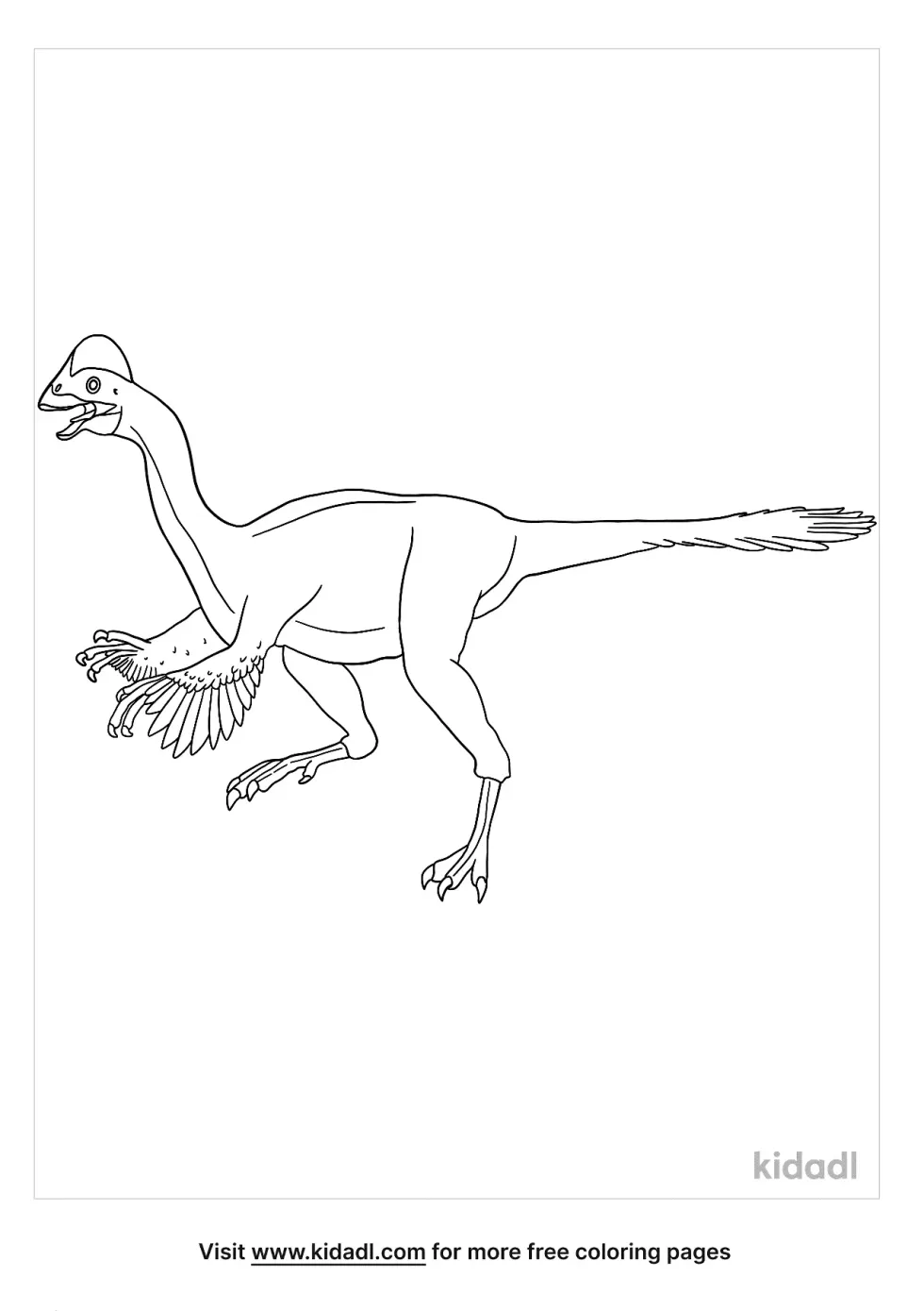 Feathered Dinosaur