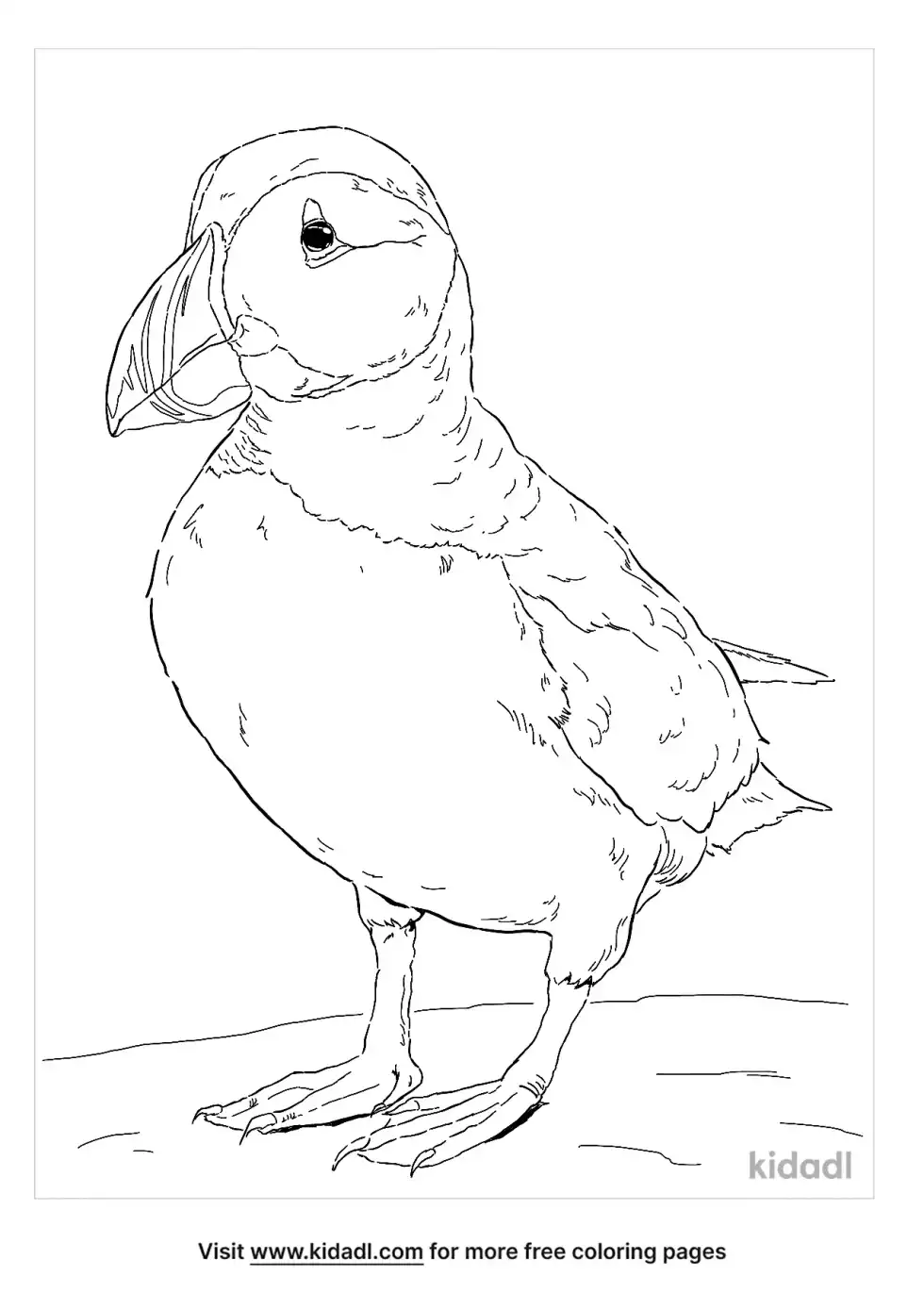 Puffin Coloring Page
