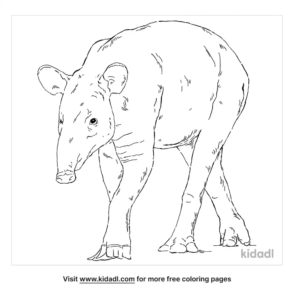 Brazilian Tapir Coloring Page