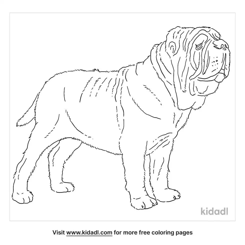 Neapolitan Mastiff Coloring Page