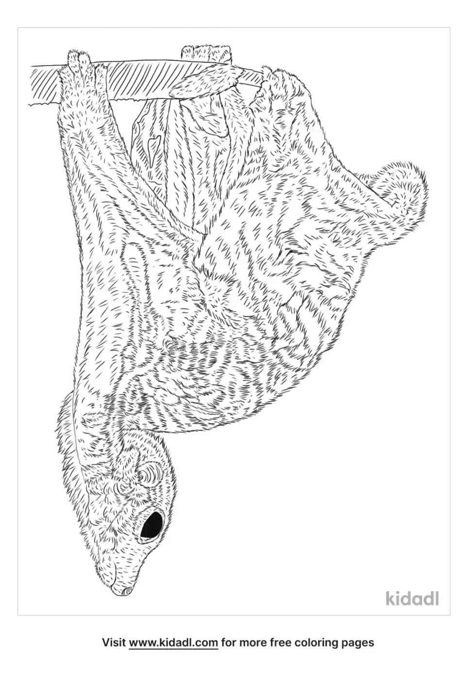 Philippine Flying Lemur Coloring Page