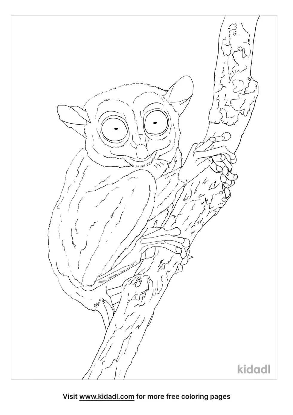 Tarsier Coloring Page