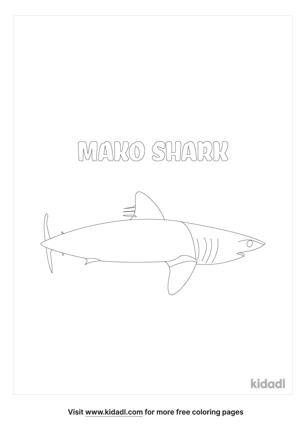 Mako Shark | Kidadl
