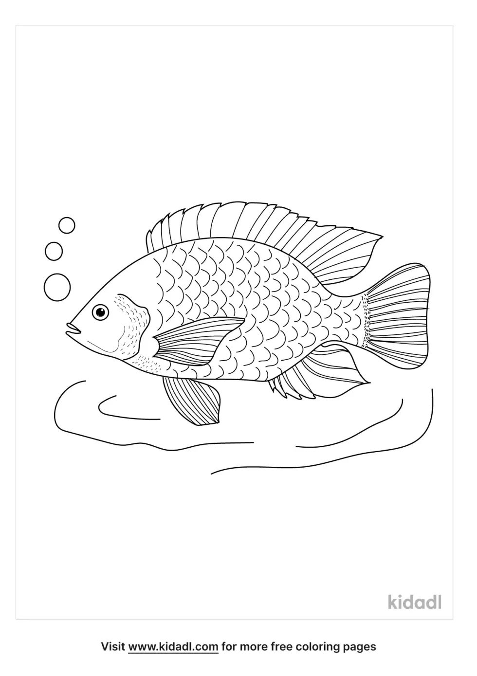 Nile Tilapia Coloring Page