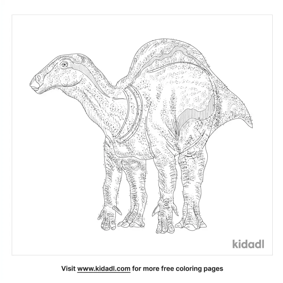 Morelladon Coloring Page