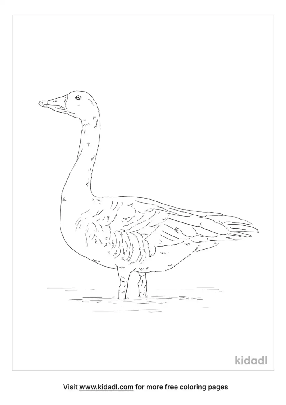 Bean Goose Coloring Page