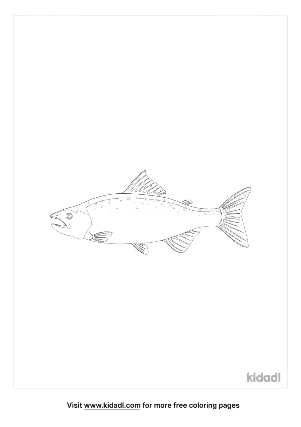 Steelhead Trout Coloring Page
