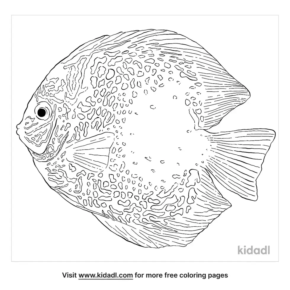 Discus Coloring Page