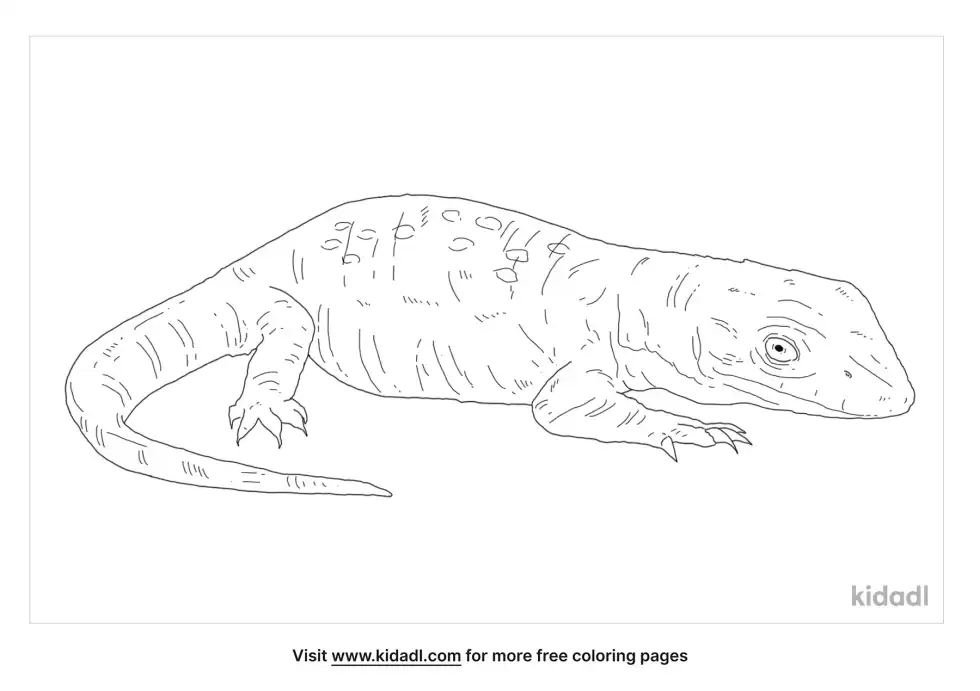 Savannah Monitor Coloring Page