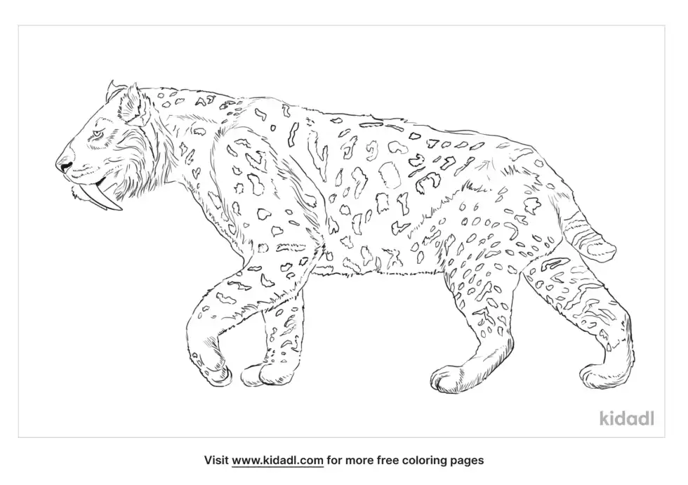 Saber-Toothed Tiger Coloring Page Coloring Page