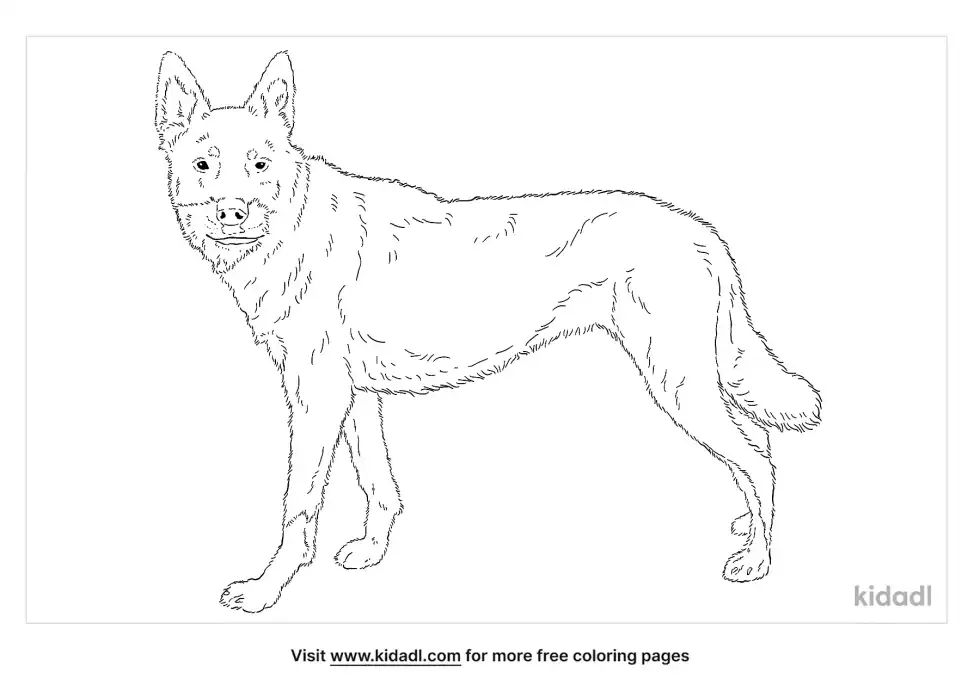 German Shepherd Rottweiler Mix Coloring Page