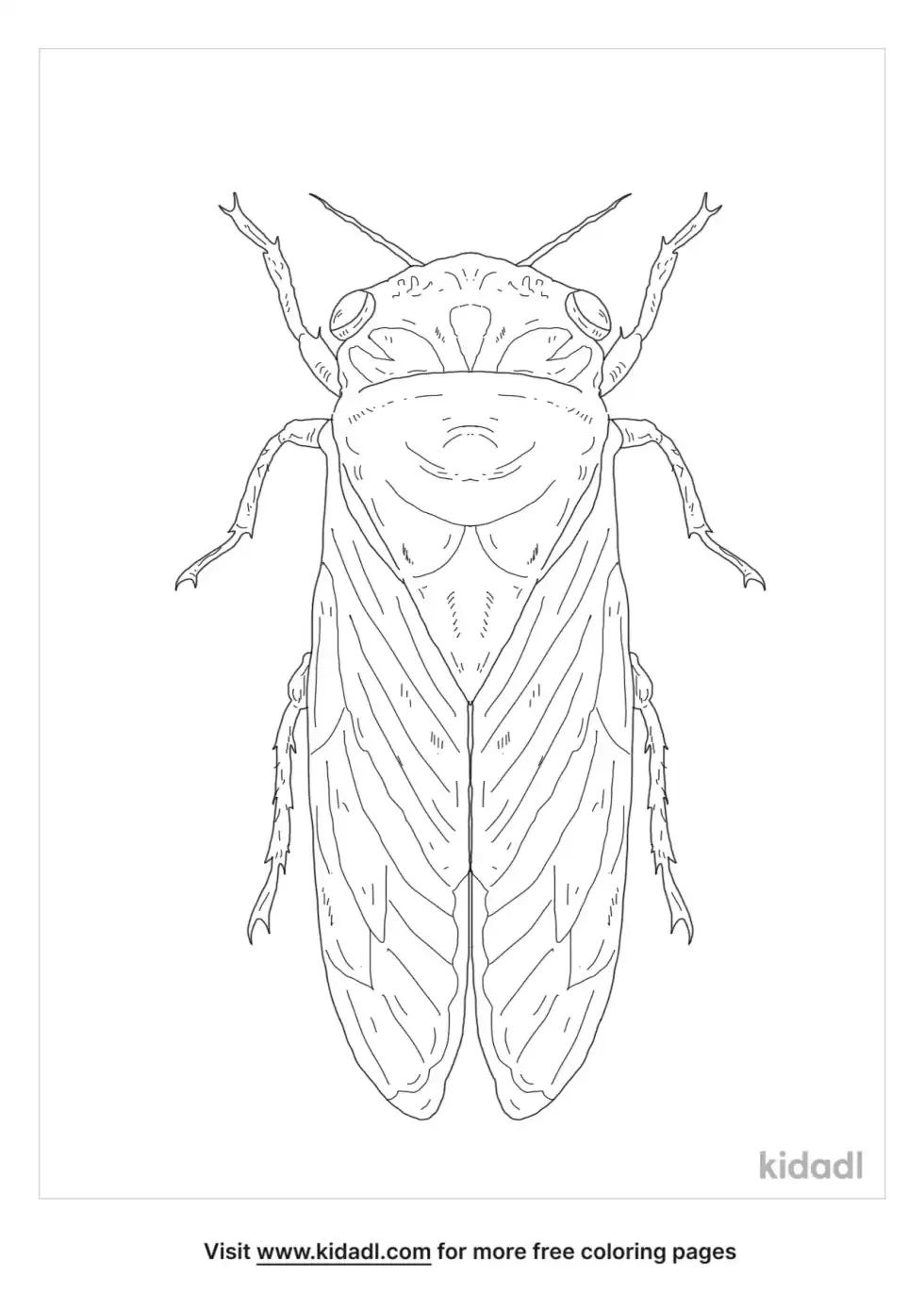 Dog Day Cicada Coloring Page