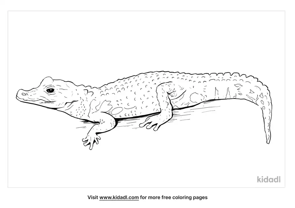 Dwarf Crocodile Coloring Page