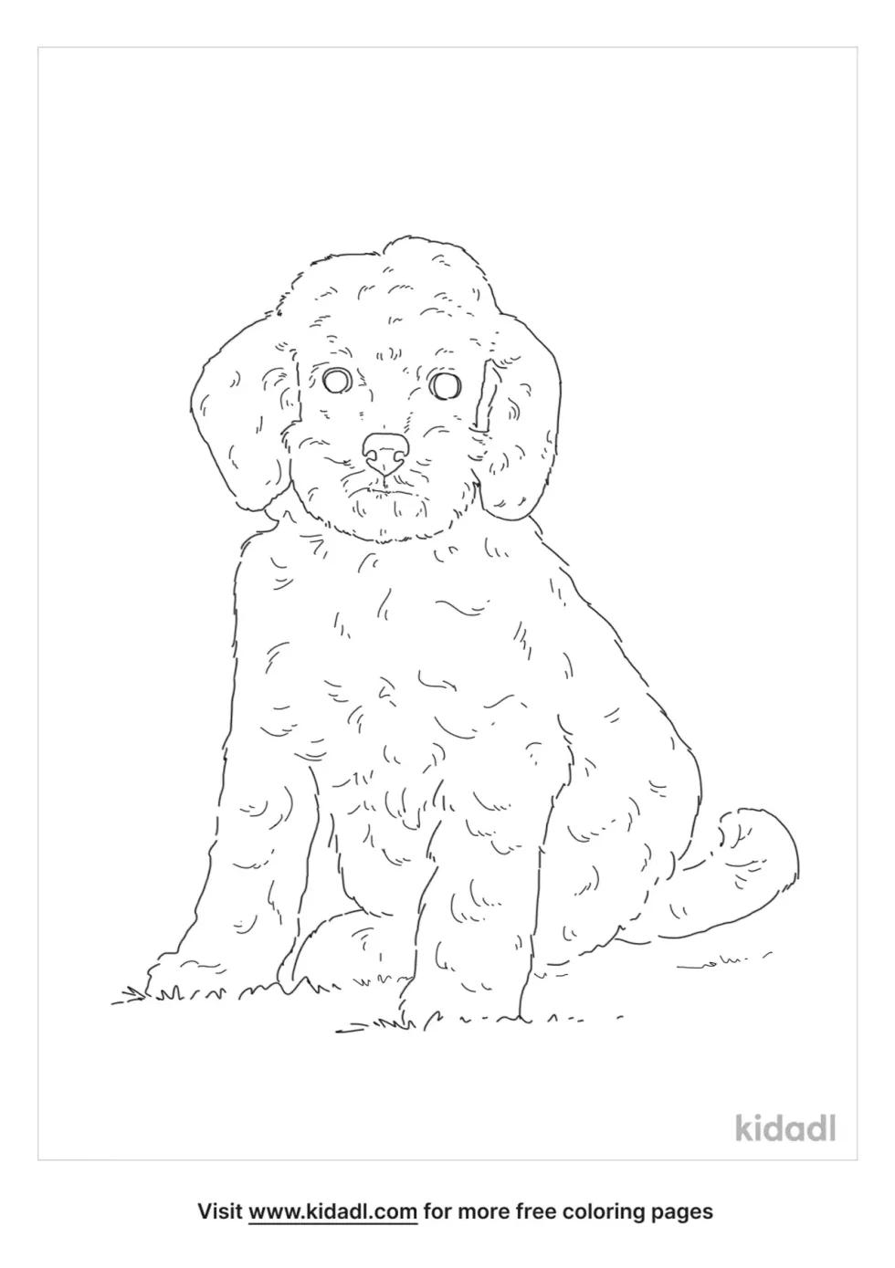 Teacup Poodle Coloring Page