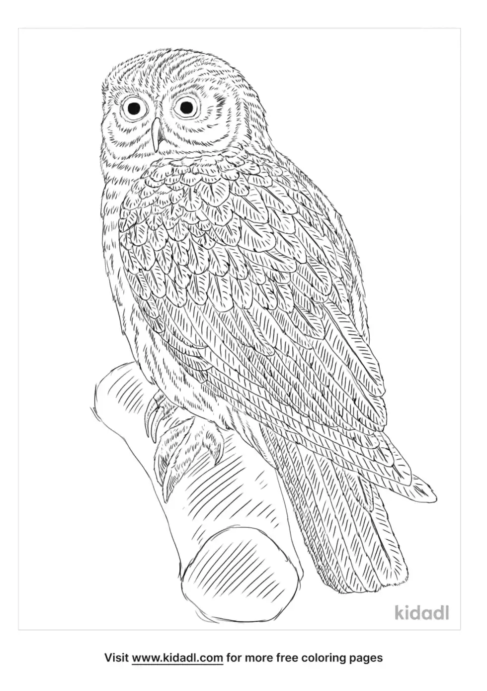 Laughing Owl Coloring Page