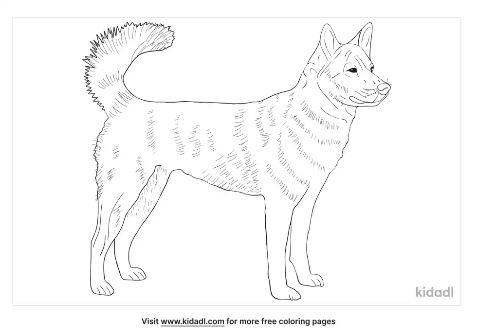 Ken Kai Coloring Page