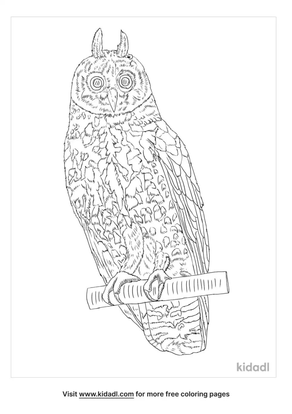 Stygian Owl Coloring Page