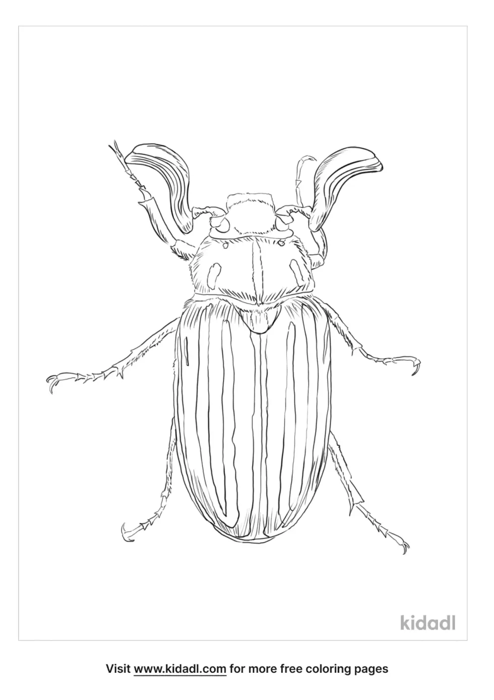 Ten-Lined June Beetle Coloring Page