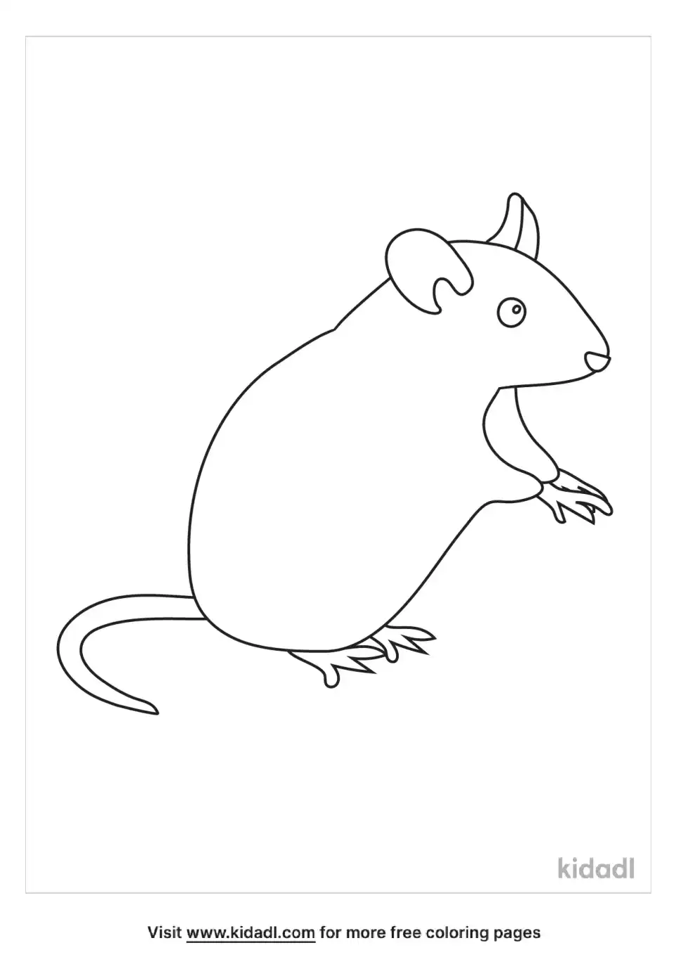 Gerbil Coloring Page
