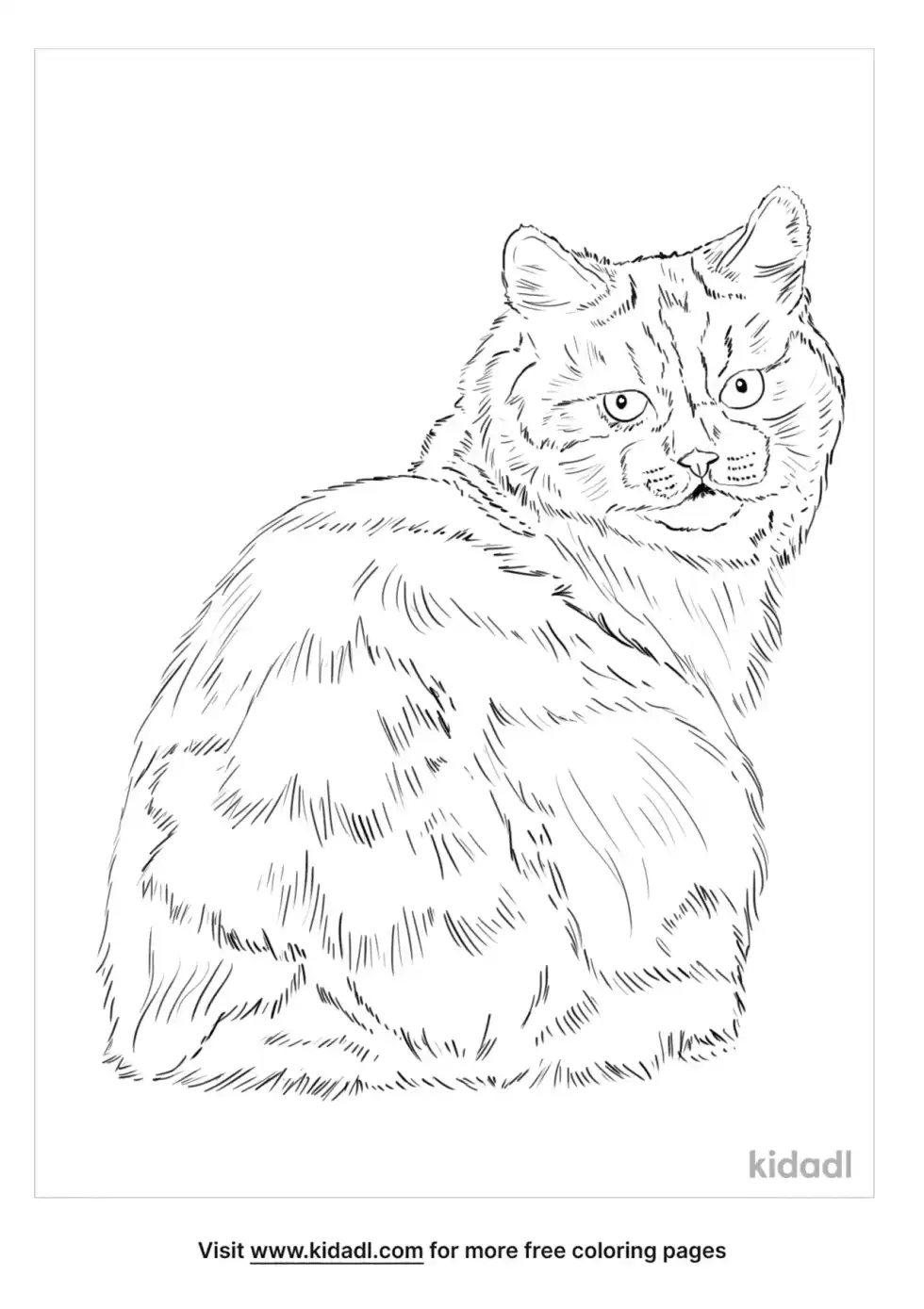 Cymric Coloring Page