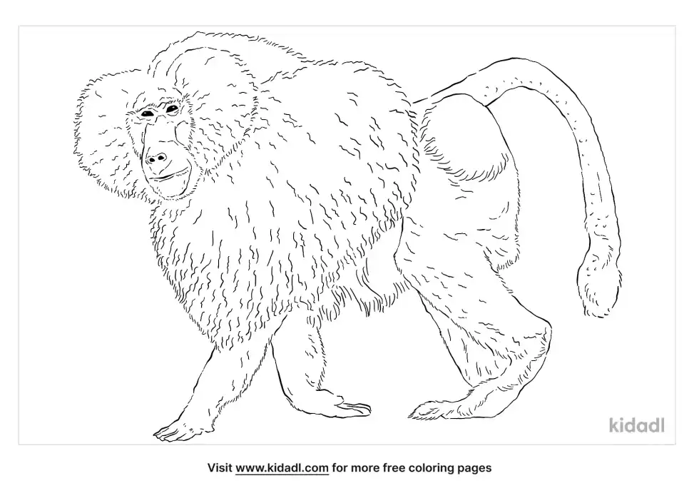 Hamadryas Baboon Coloring Page