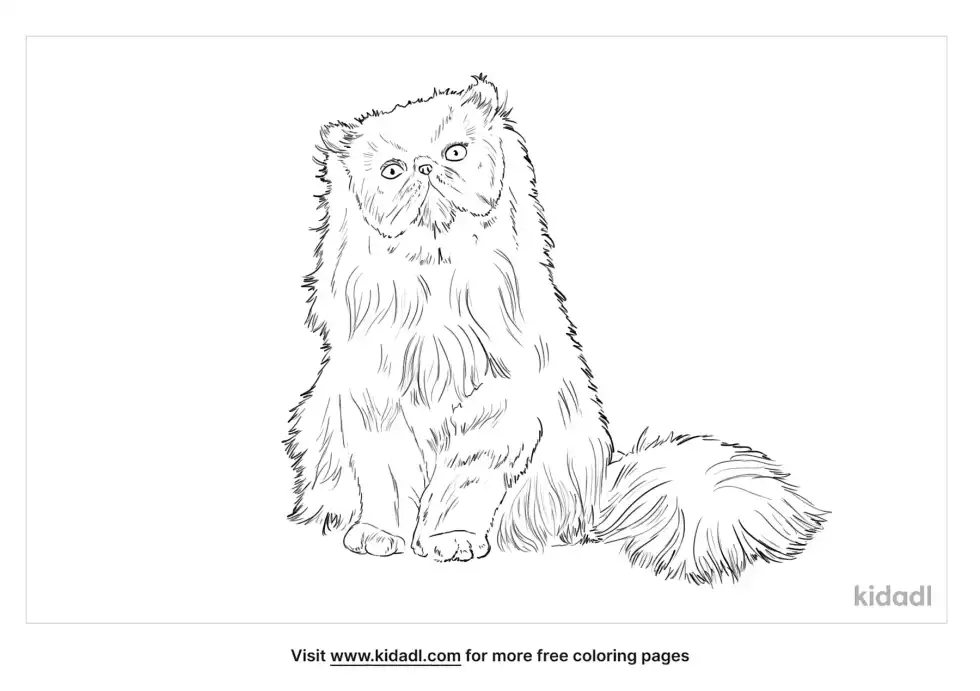 Persian Cat Coloring Page